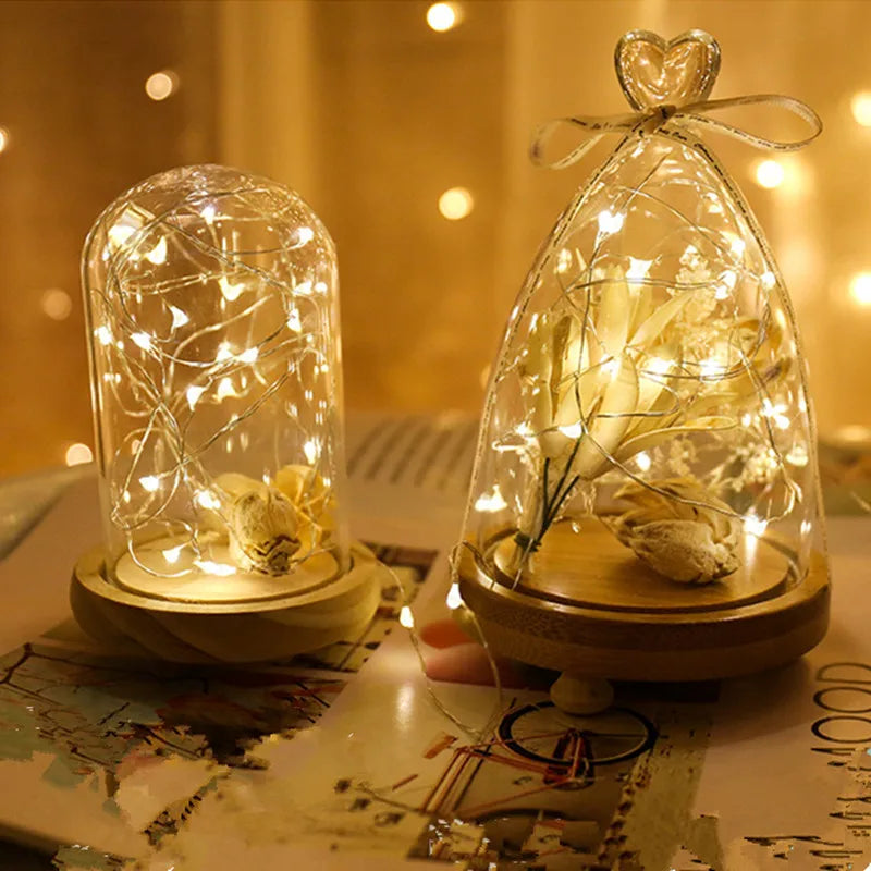5pcs 2m Copper Wire LED String Lights