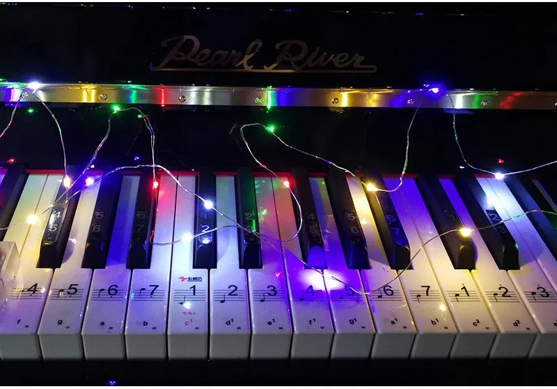 5pcs 2m Copper Wire LED String Lights