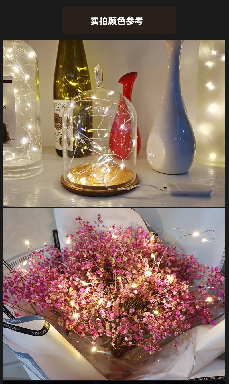5pcs 2m Copper Wire LED String Lights