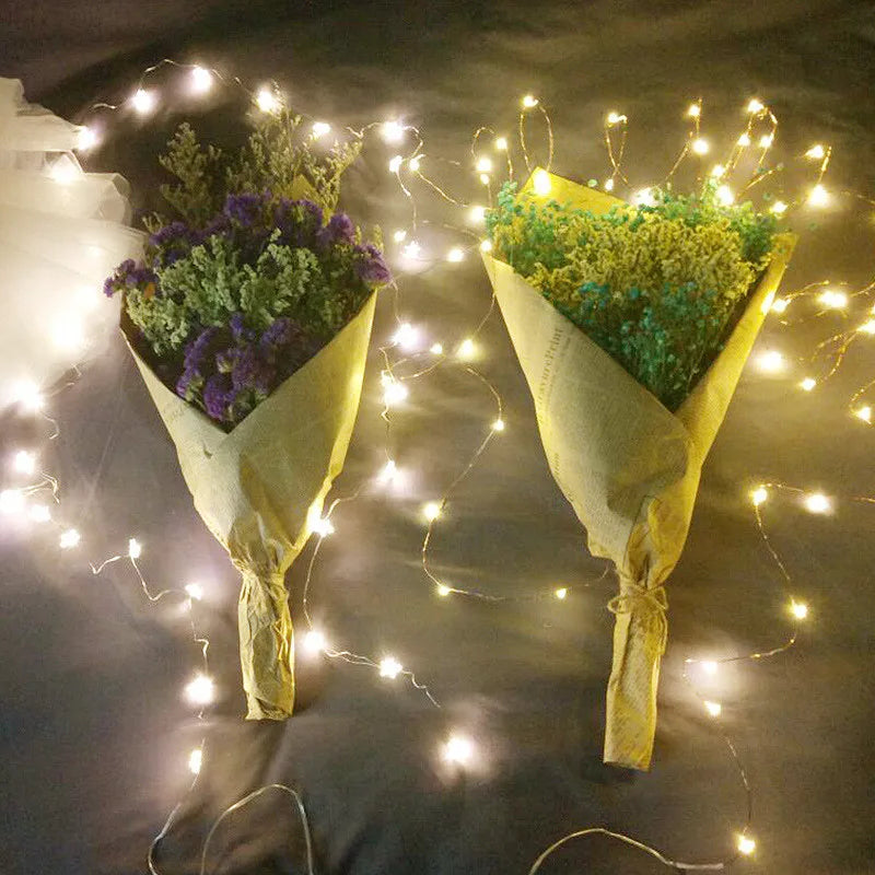5pcs 2m Copper Wire LED String Lights