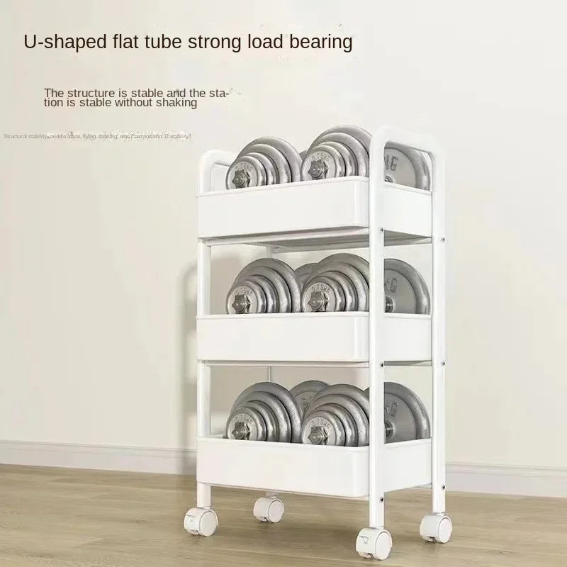 Multi-Level Mobile Storage Rack