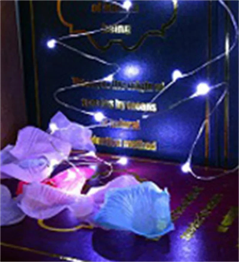 20m USB LED String Lights – Warm White Fairy Lights for Decor