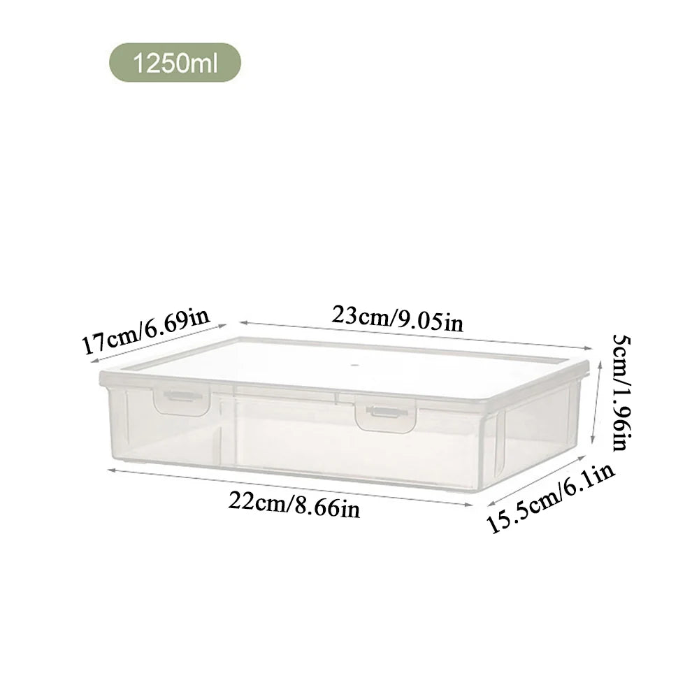 Clear Plastic Document Organizer Storage Box