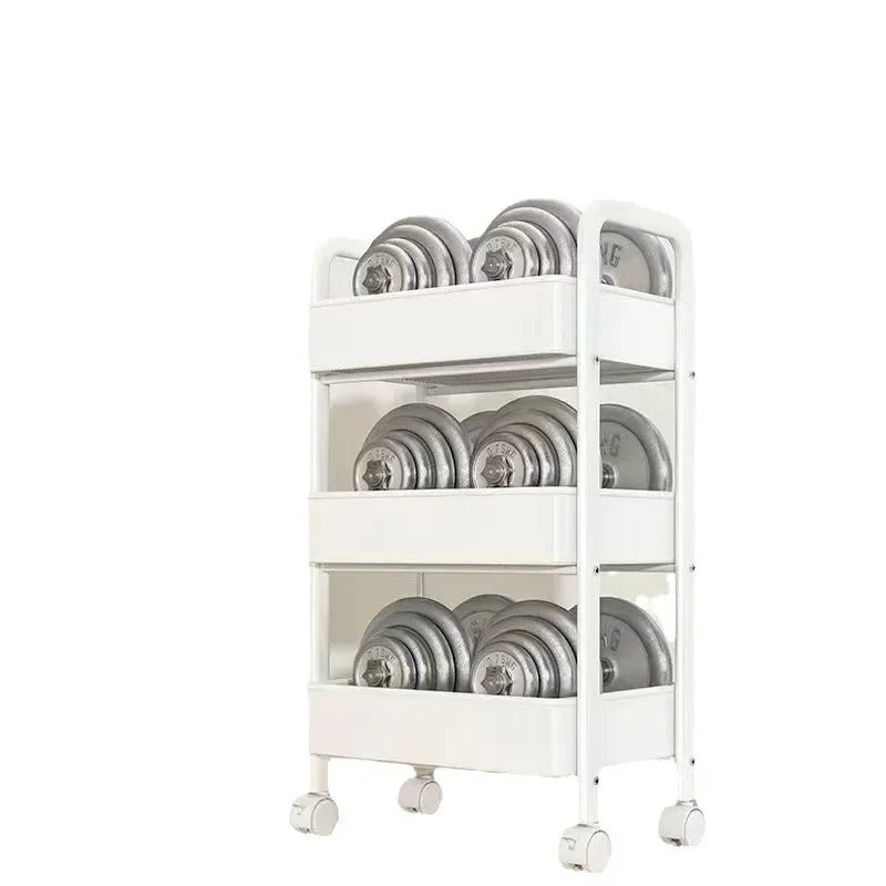 Multi-Level Mobile Storage Rack